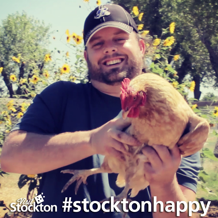 Stockton-happy-widget
